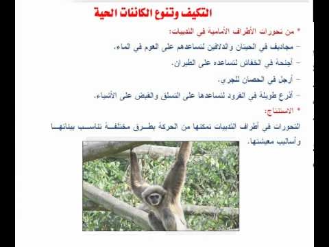 مطويات عن حالة الطقس