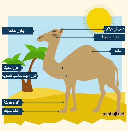 مطويات عن حالة الطقس