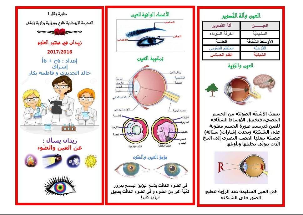 مطويات عن صحة العين