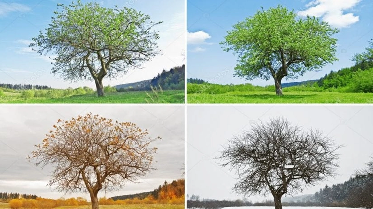 صورة مطويات عن فصول السنه