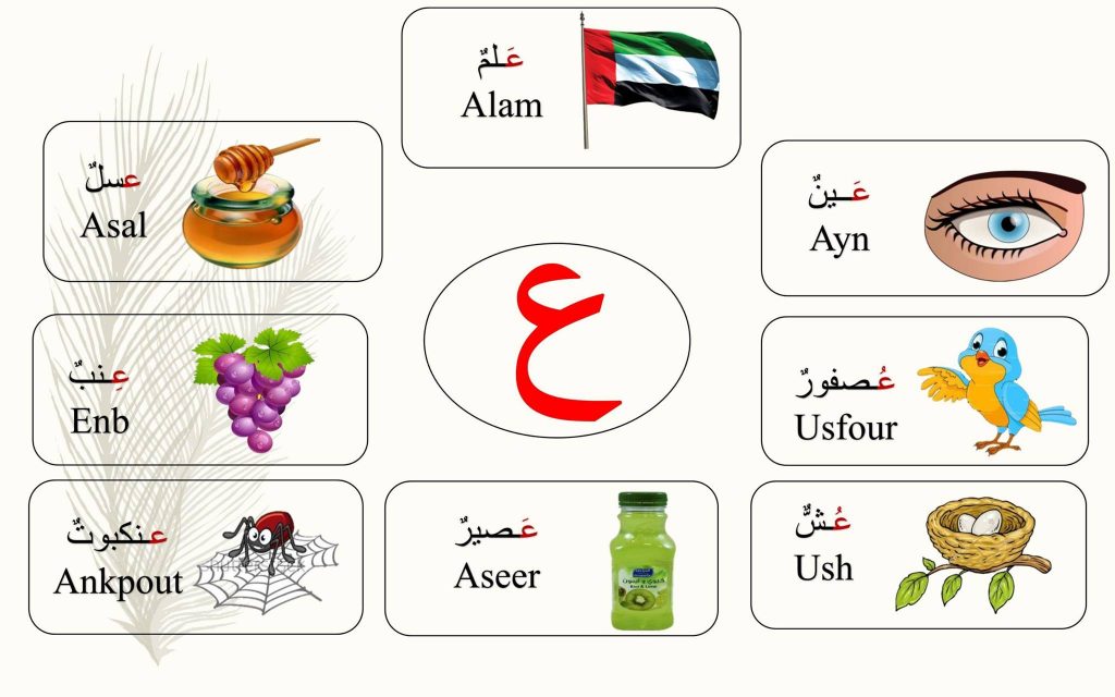 مطوية عن حرف الصاد