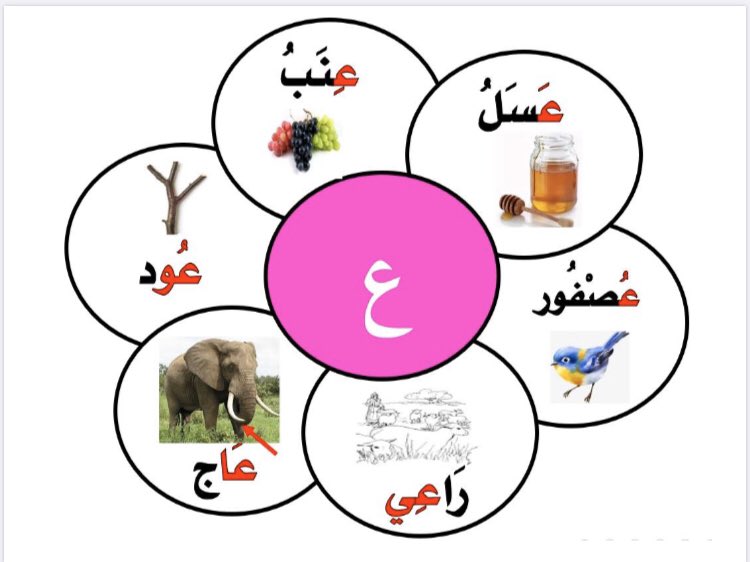 مطوية عن حرف الصاد