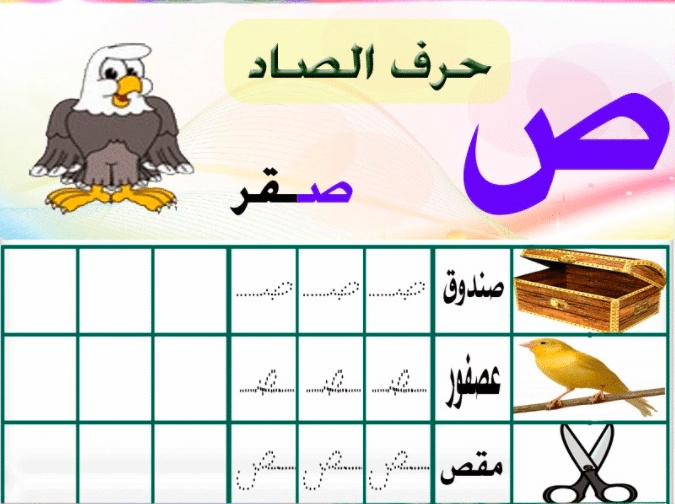 مطوية عن حرف الصاد