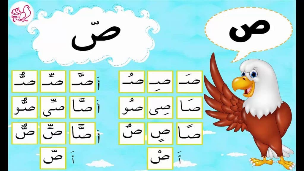مطوية عن حرف الصاد