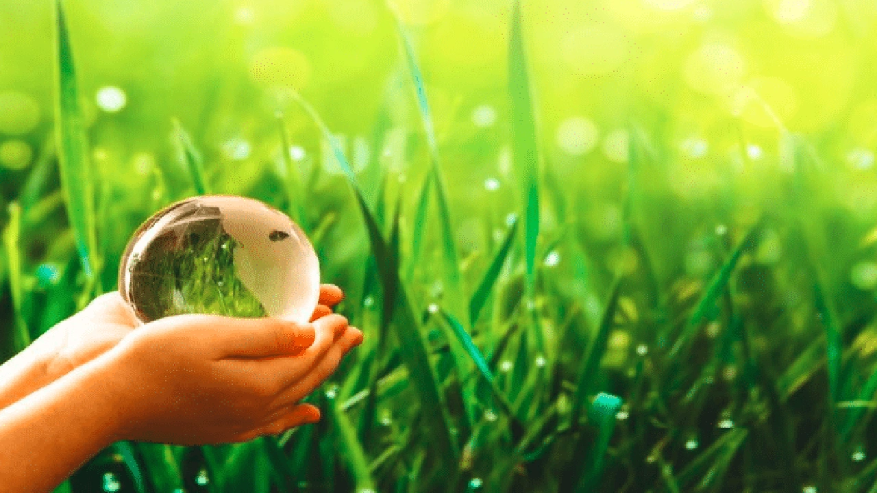 صورة مفهوم البيئة