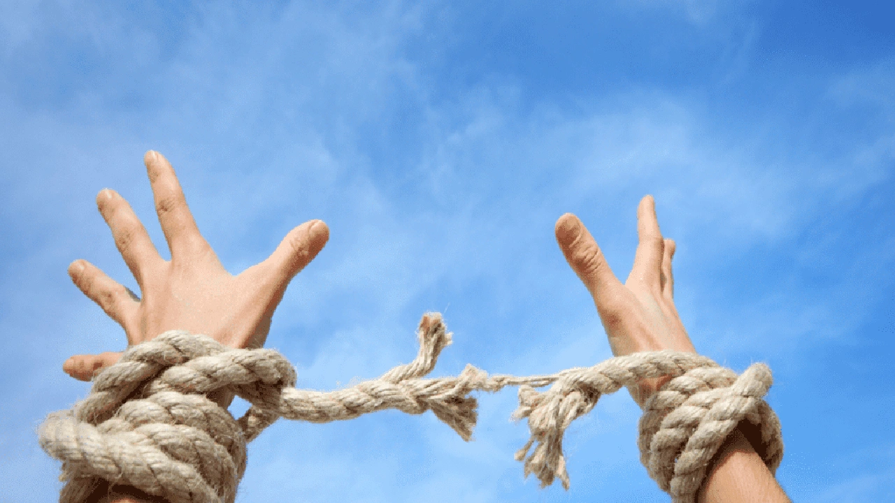 صورة مقدمة بحث جامعي عن حقوق الانسان