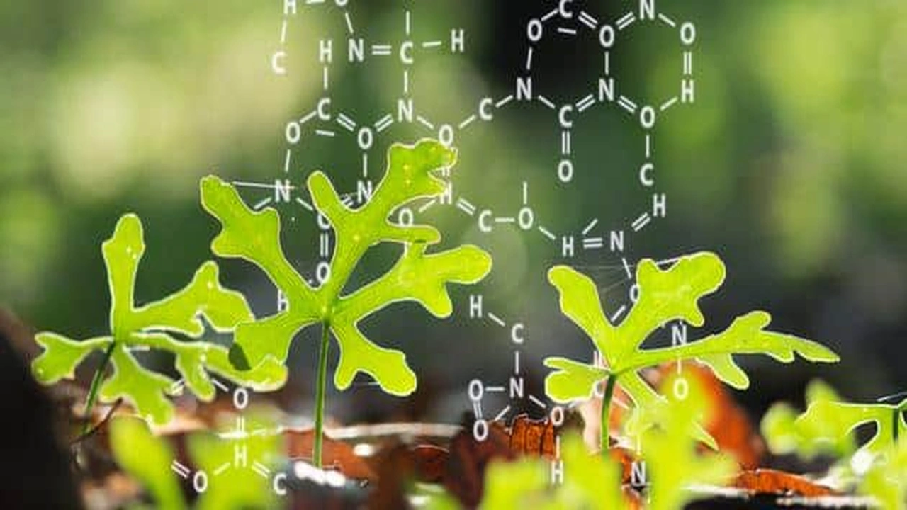 صورة مقدمة بحث عن الكيمياء الحيوية