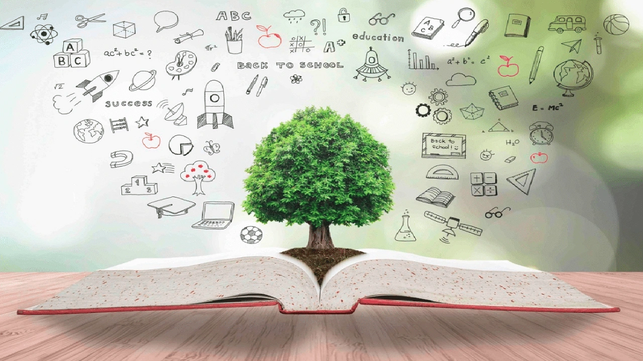 صورة مقدمة عن التربية والتعليم