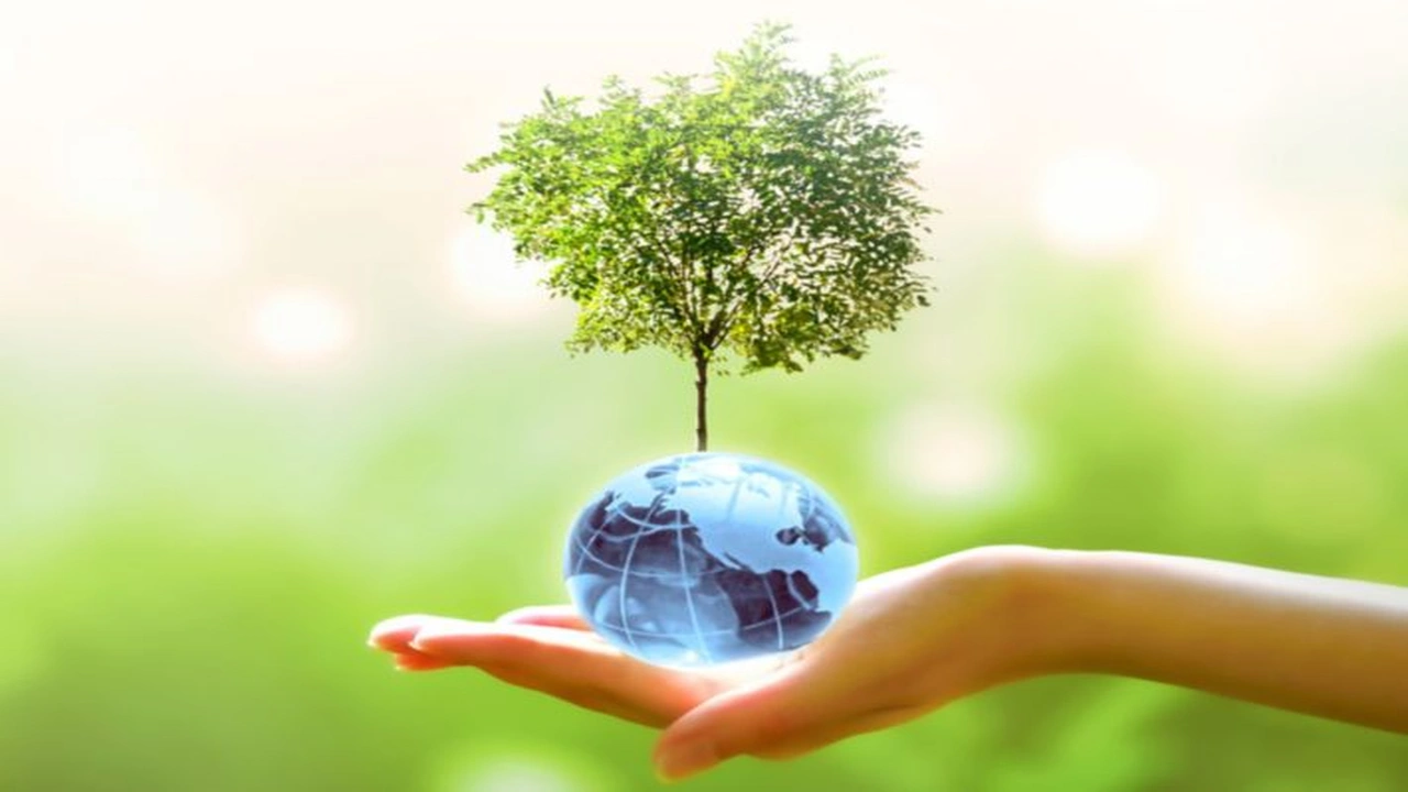 صورة مقدمة وخاتمة عن جمال الطبيعة