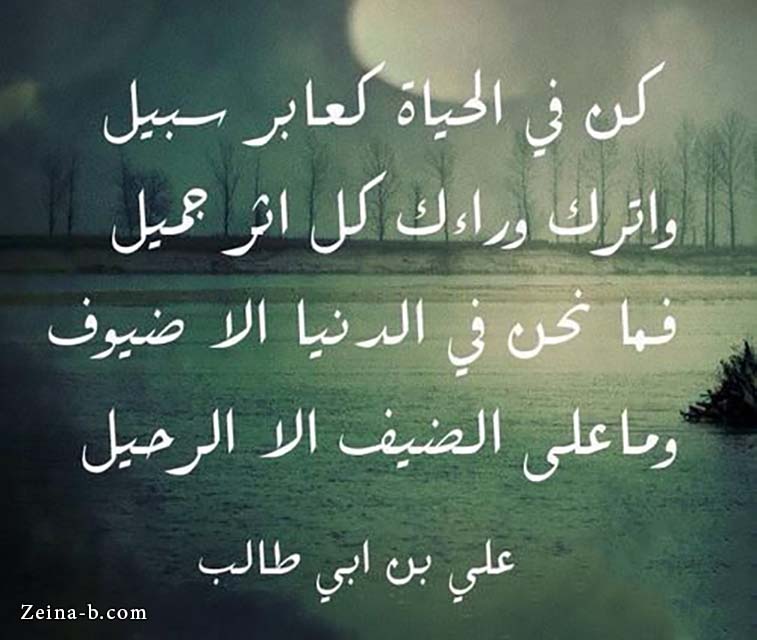 مقولات خالدة عن الحياة
