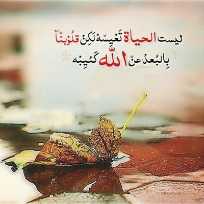 مقولات دينية