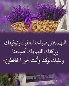 مقولات صباحية