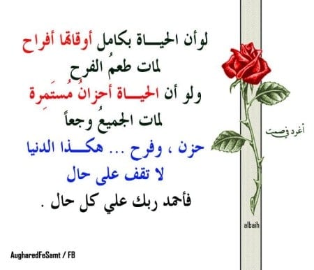 مقولات عن الحياة