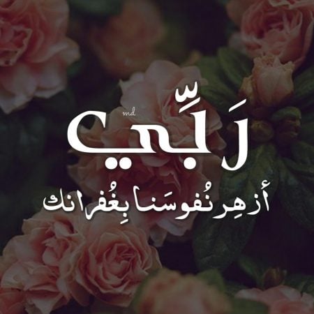 ملصقات سناب كلام
