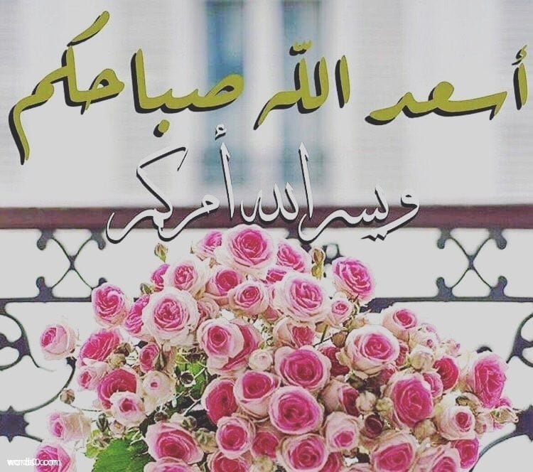 ملصقات سناب كلام