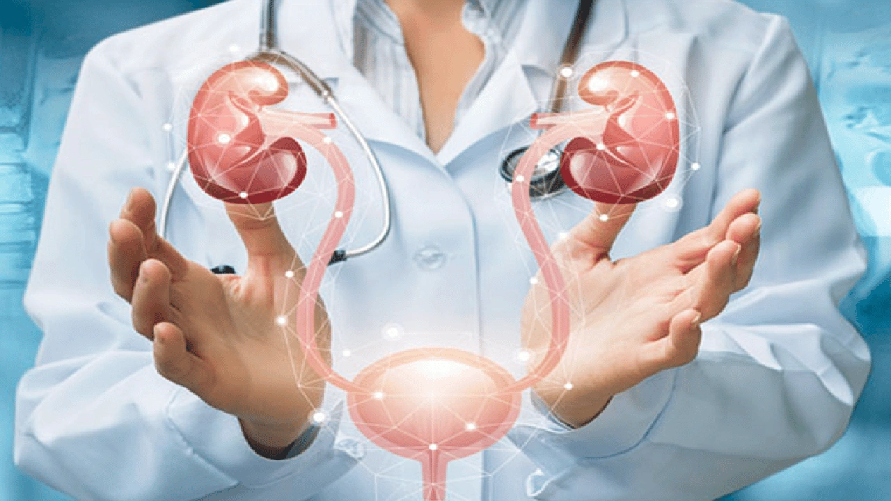 صورة مميزات وعيوب تخصص جراحة المسالك البولية