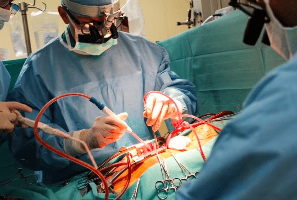 مميزات وعيوب تخصص طب القلب