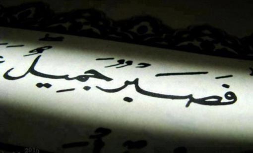 من هو اكثر نبي صبر