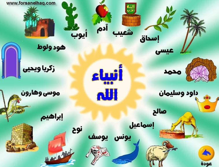من هو اكثر نبي عاش
