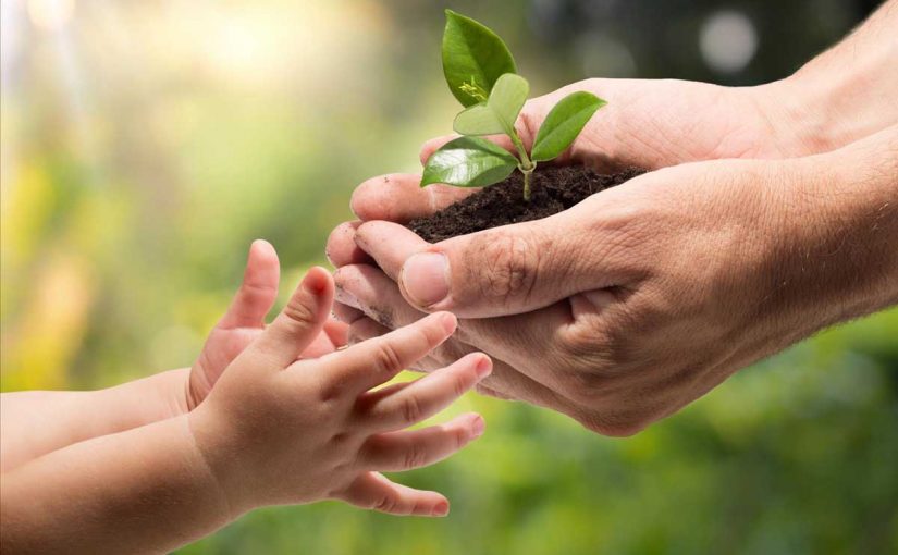 موضوع تعبير عن كيفية المحافظة على البيئة من التلوث