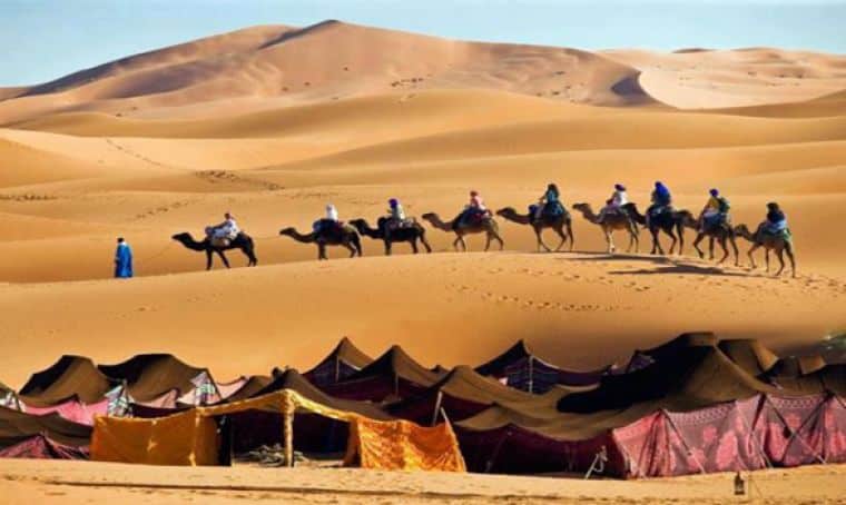 موضوع عن البادية