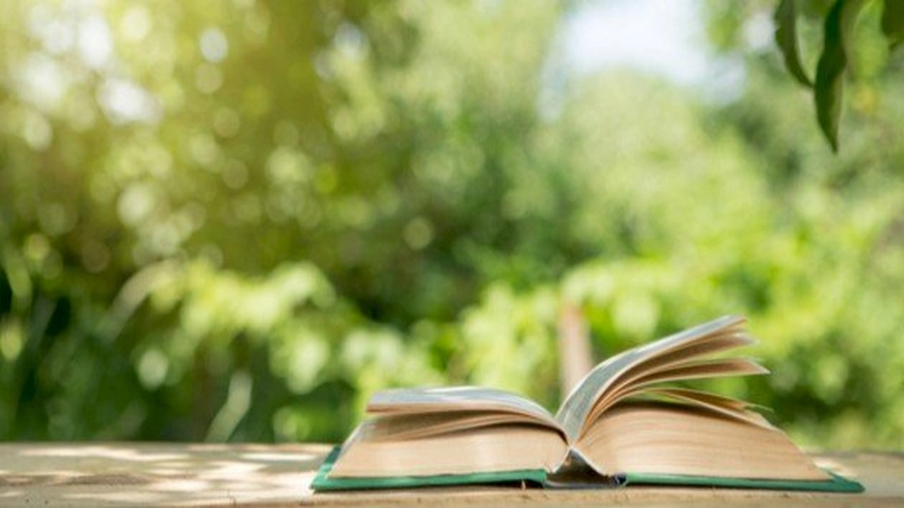 صورة موضوع عن الرومنطيقية