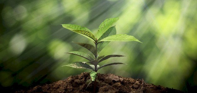 موضوع عن الكلمة الطيبة