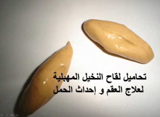 مين جربت طلع النخيل مع زوجها وحملت