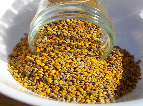 مين جربت طلع النخيل مع زوجها وحملت
