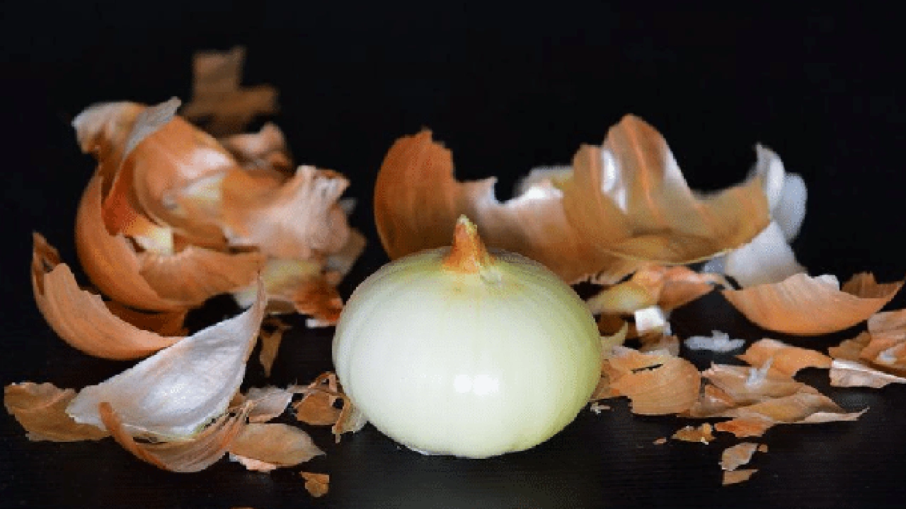 صورة مين جربت قشر البصل لتنزيل الدورة