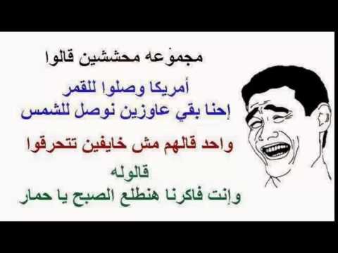 نكت زهارين تموت ضحك