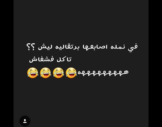 نكت عن النمل تموت ضحك