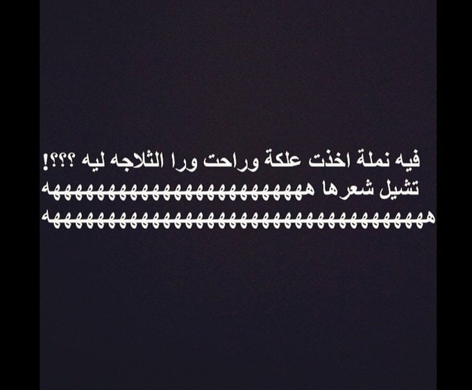 نكت عن النمل تموت ضحك