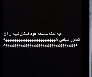 نكت عن النمل تموت ضحك