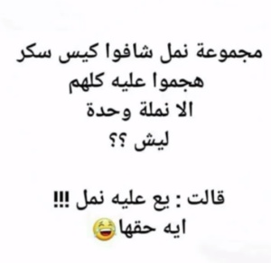 نكت عن النمل تموت ضحك