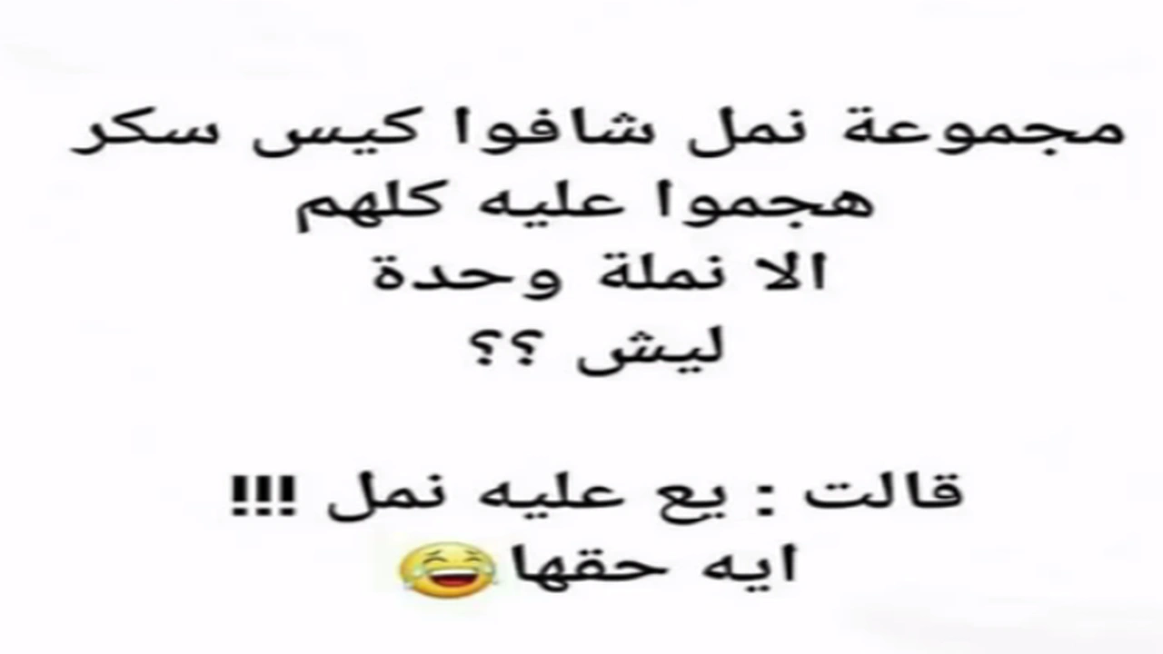 صورة نكت عن النمل تموت ضحك