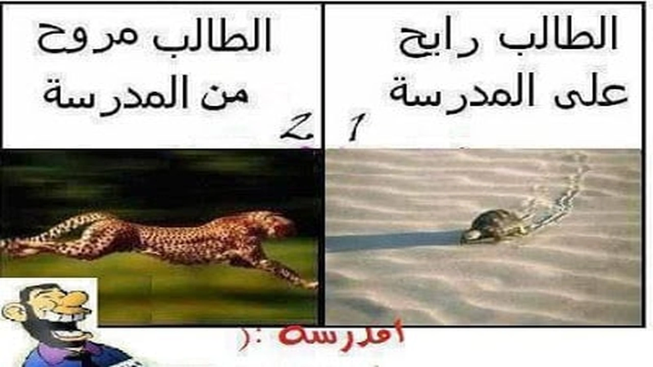 صورة نكت مضحكة جزائرية عن الدراسة