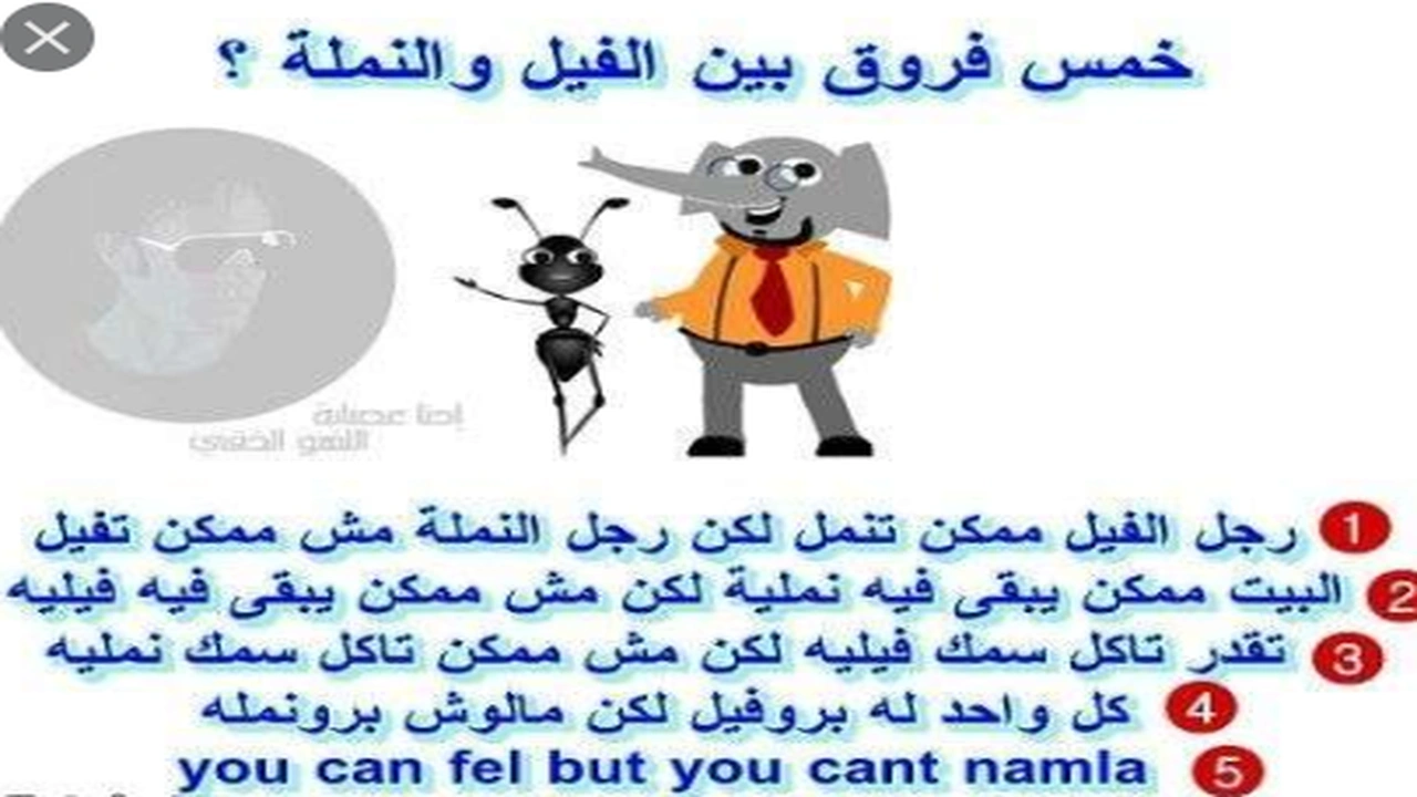 صورة نكت نمل وفيل