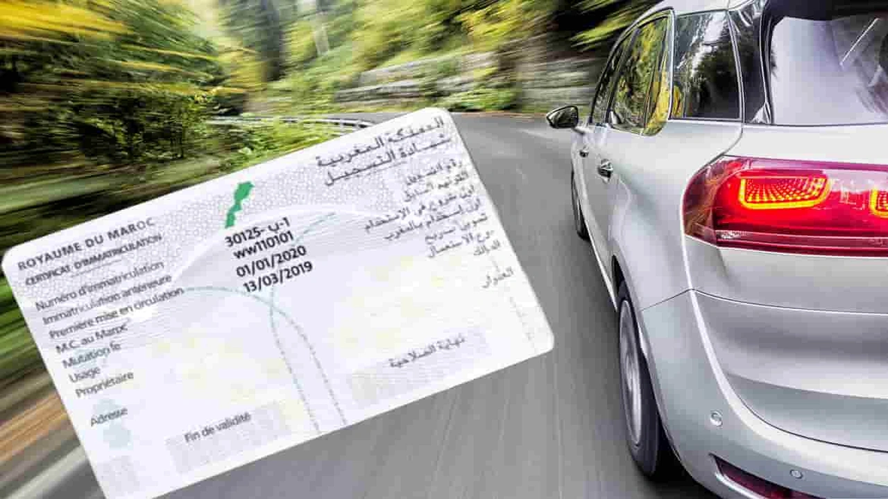 صورة نموذج بطاقة رمادية