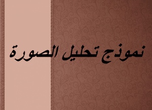 نموذج تحليل الصورة