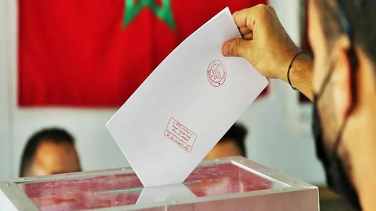 صورة نموذج طلب التشطيب من اللوائح الانتخابية