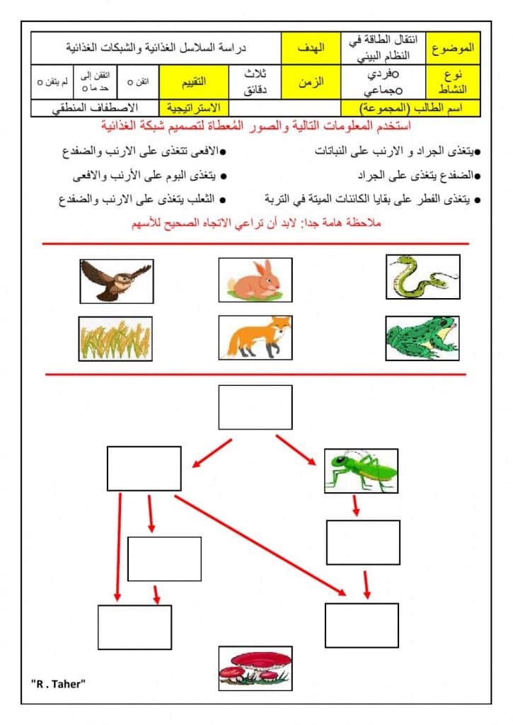 ورقة عمل السلاسل الغذائية