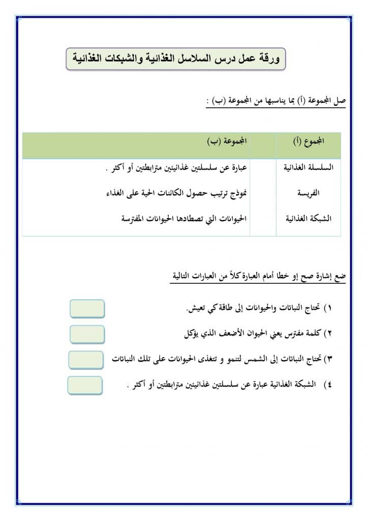 ورقة عمل السلاسل الغذائية