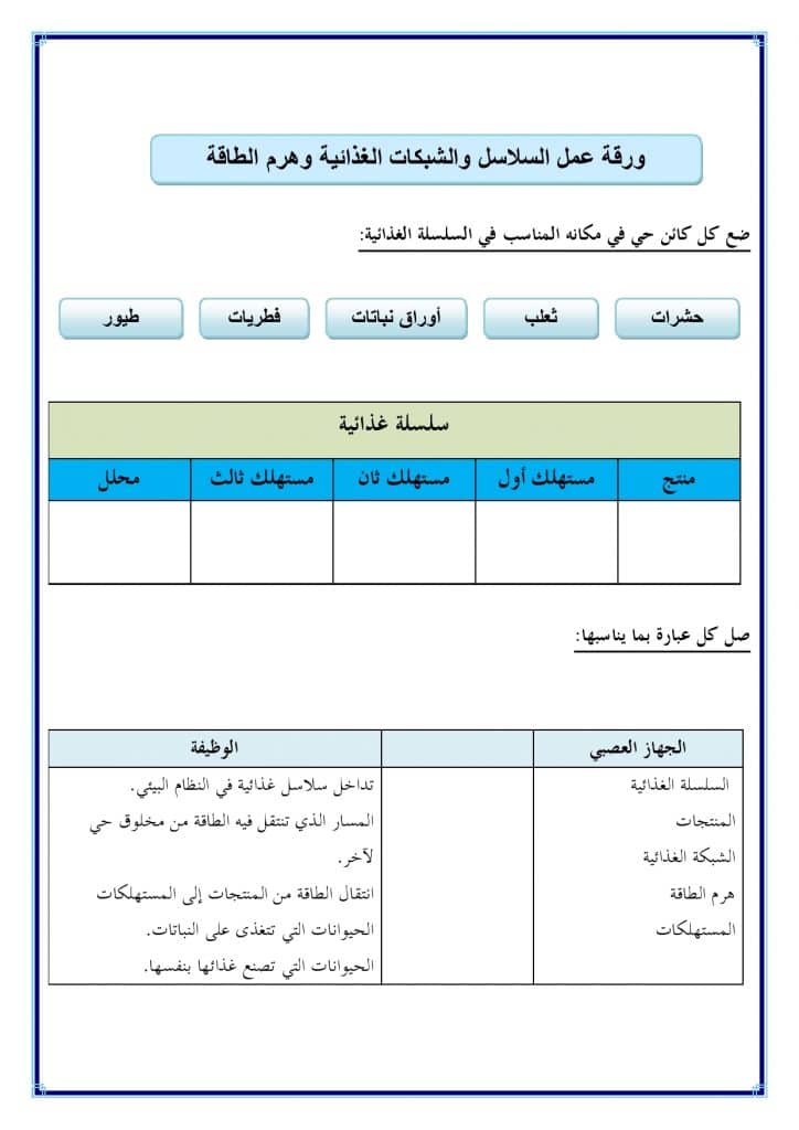 ورقة عمل السلاسل الغذائية