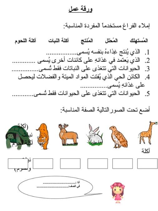 ورقة عمل السلاسل الغذائية