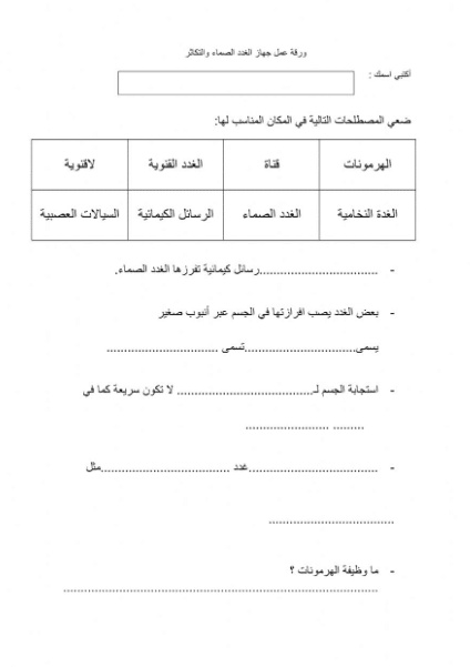 ورقة عمل الغدد الصماء