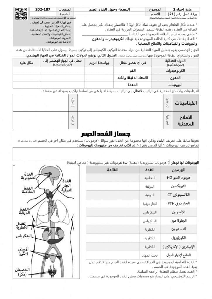 ورقة عمل الغدد الصماء