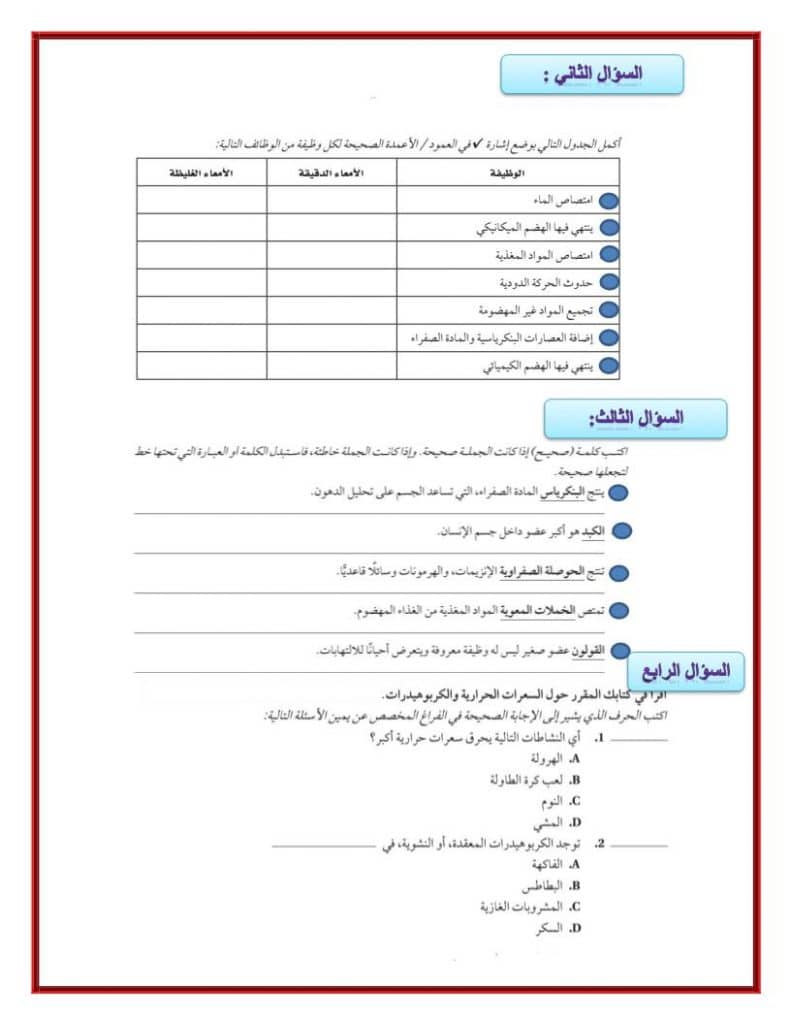 ورقة عمل الغدد الصماء