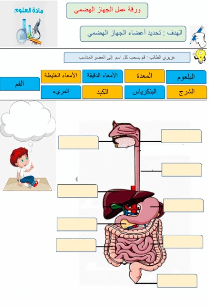 ورقة عمل الغذاء المتوازن