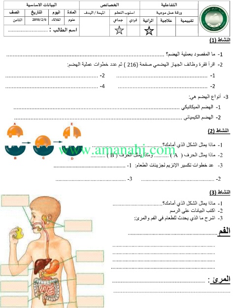ورقة عمل الغذاء المتوازن